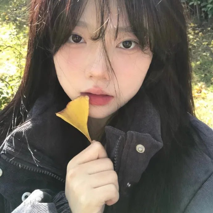 公私恋事多粤语